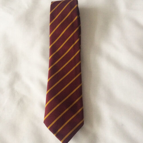 our lady of lourdes full tie